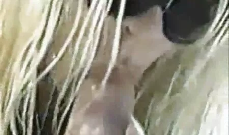ニカは彼女の足を広げ、彼女の猫を舐めることができます 女性 エロ アニメ